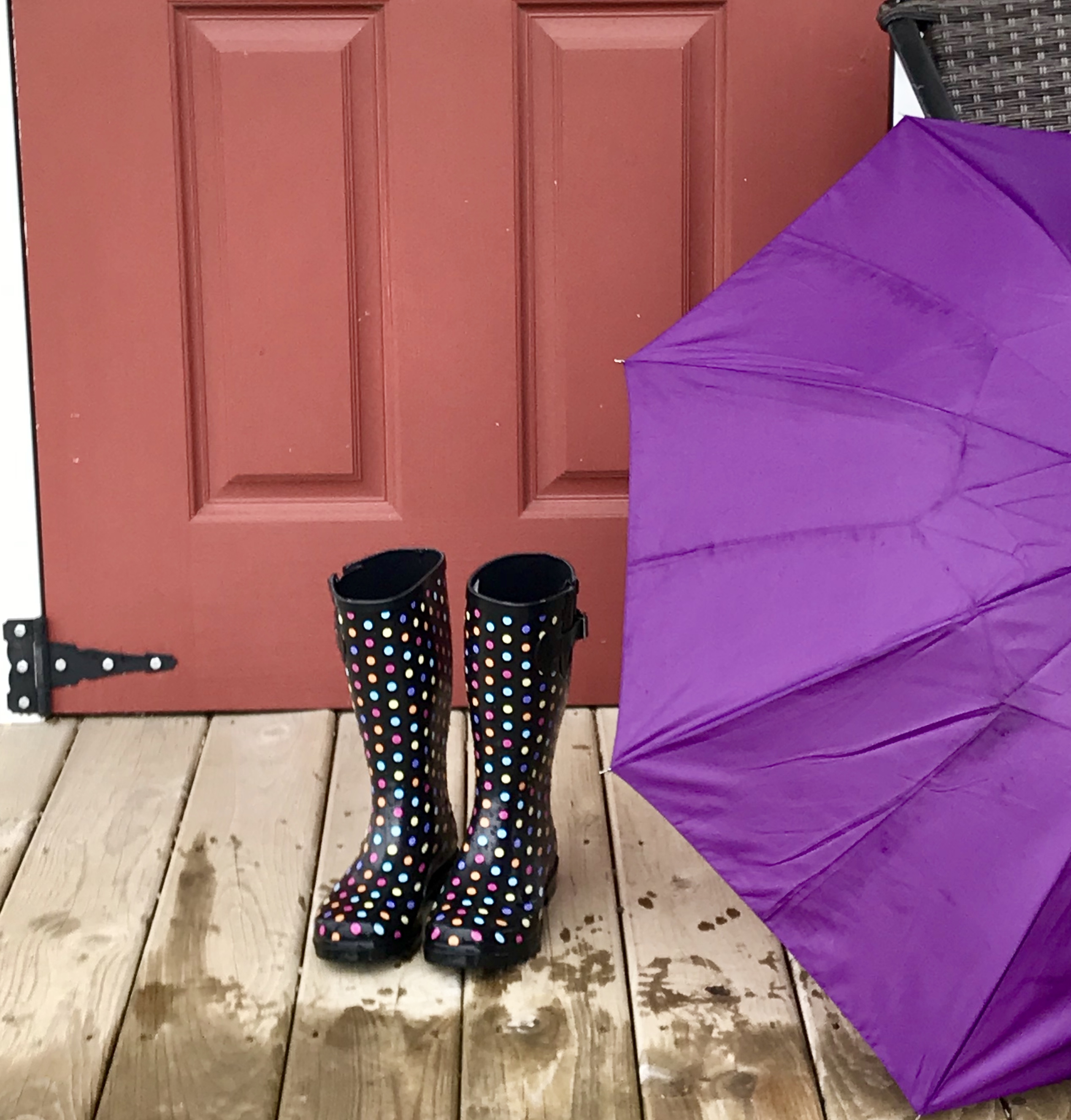 Get Your Rain Boots and Umbrella! It’s THAT Kind of Day
