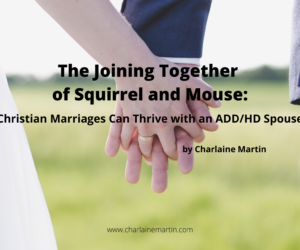 The Joining Together of Squirrel and Mouse: