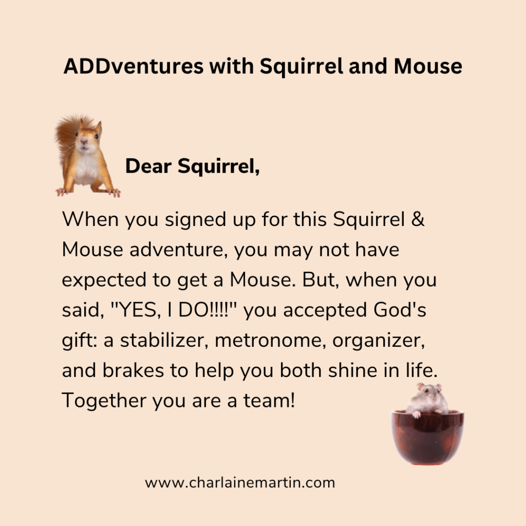 Dear Squirrel