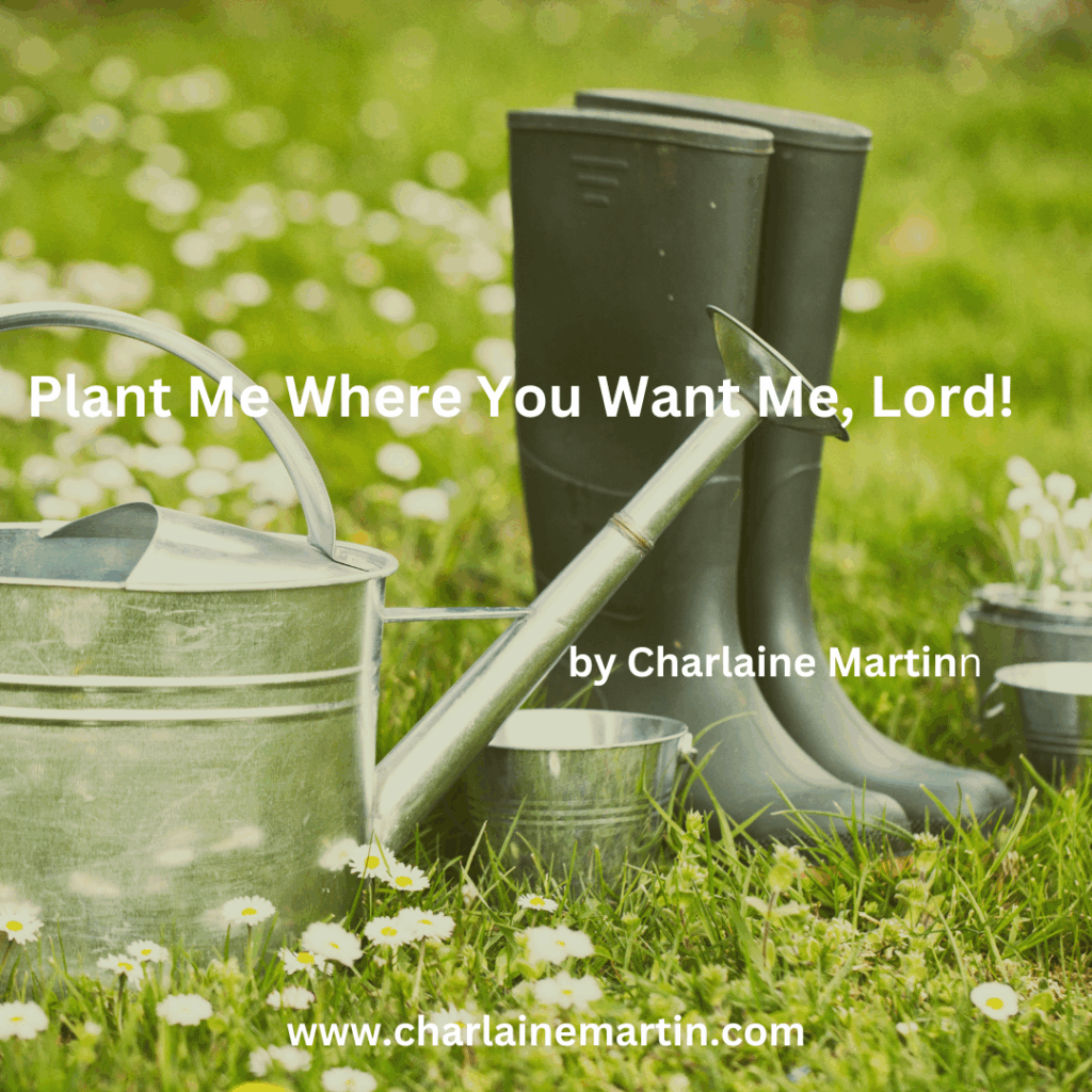 Learning to thrivev wherever God takes you.