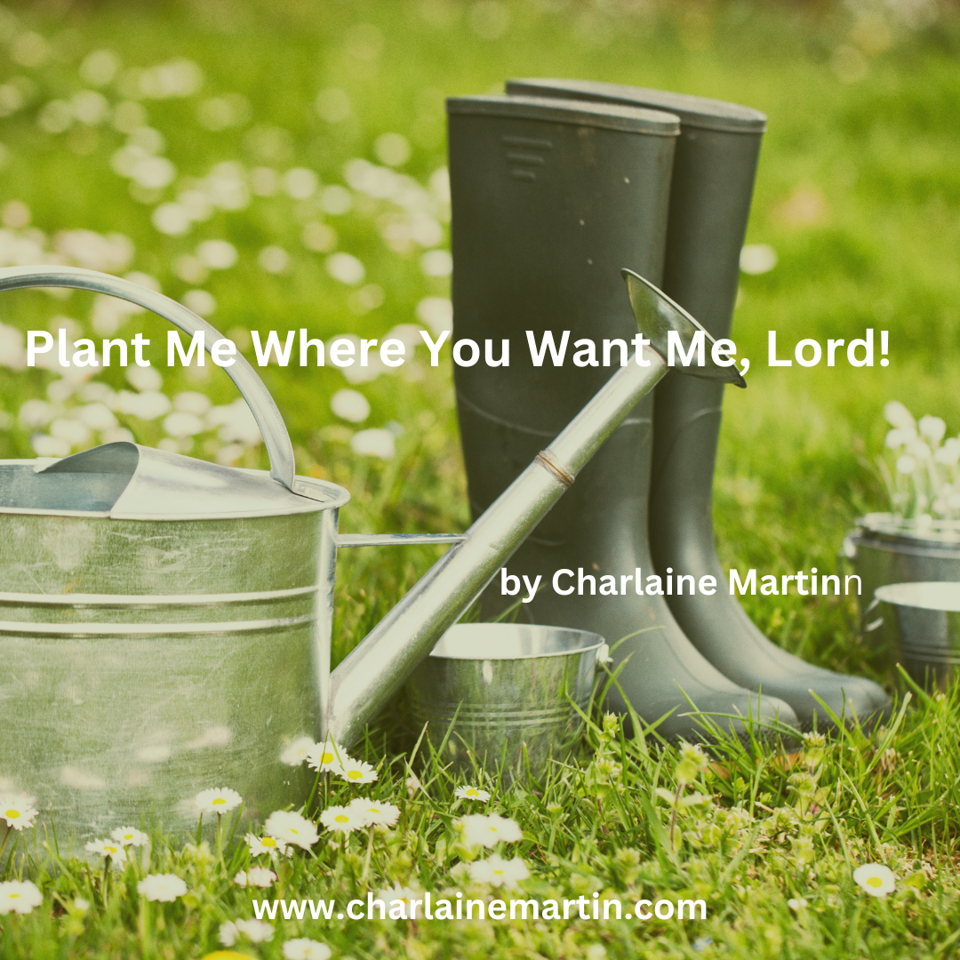 Plant Me Where You Want Me, Lord!