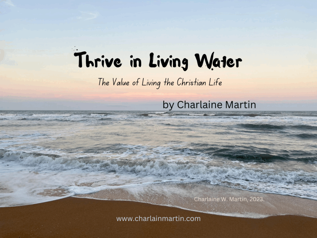 The Value of Living the Christian Life