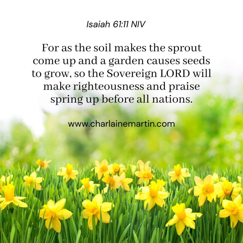 Righteousness and Praise