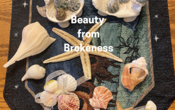 Beauty from Brokeness